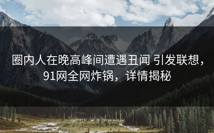 圈内人在晚高峰间遭遇丑闻 引发联想，91网全网炸锅，详情揭秘
