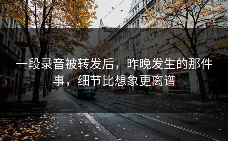 一段录音被转发后，昨晚发生的那件事，细节比想象更离谱
