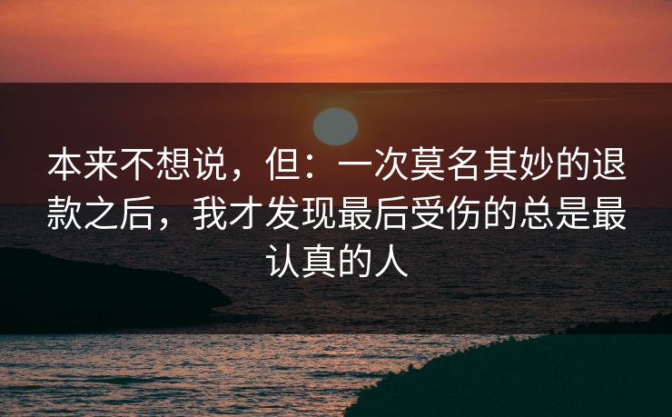 本来不想说，但：一次莫名其妙的退款之后，我才发现最后受伤的总是最认真的人
